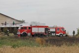 Znamy szczegóły pożarów w Chwaliszewie [ZDJĘCIA]     