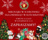 Kościerzyna. Wyjątkowe Mikołajki w kościerskim schronisku. Wybierz się na spacer z psem ze schroniska!