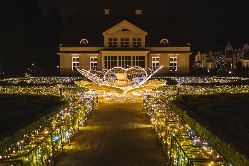 Iluminacje świąteczne w Parku Oliwskim.