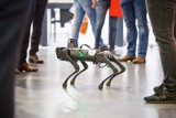 Poznańskie koziołki-roboty będą trykać się na Międzynarodowych Targach Poznańskich. Rozpoczyna się m.in. ITM Industry Europe i Focast