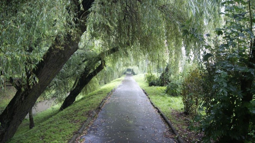 Park nad Krzeszówką - górnym biegiem Rudawy.Krzeszówka...