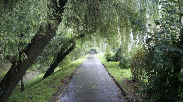 Park nad Krzesz&oacute;wką - g&oacute;rnym biegiem Rudawy.
Krzesz&oacute;wka powstaje z połączenia Eliasz&oacute;wki i Czernki, w Czernej.
Fot. Justyna Drozdecka