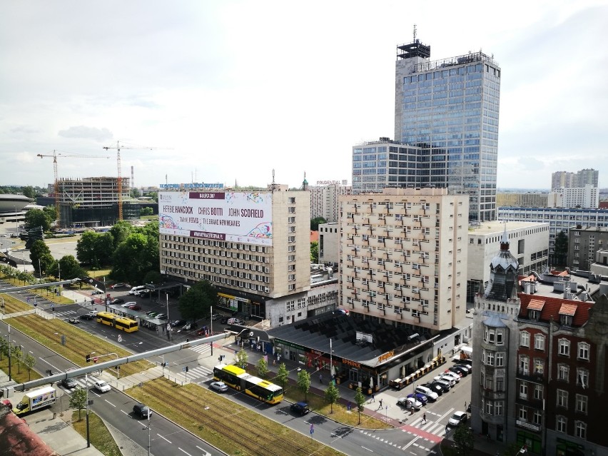 Sztuczna Rawa, palmy, leżaki i klomby. Za nią: dawny gmach...