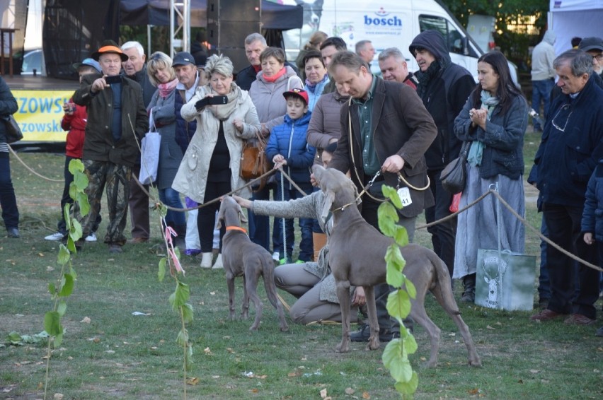 Hubertus Spalski 2015 rozpoczęty