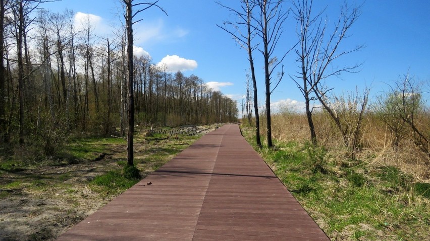 Aleksander Doba patronem trzebieskiej promenady. Będzie miał też swój pomnik nad zalewem