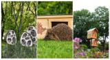 Gmina Świdnica. Budują ogród przyjazny zwierzętom: hotel dla owadów, domki dla motyli i jeży...