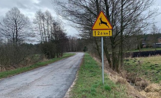 Do kolizji z udziałem łosia doszło w gminie Ryjewo. Policjanci radzą jak zniwelować ryzyko wypadku z leśnymi zwierzętami.