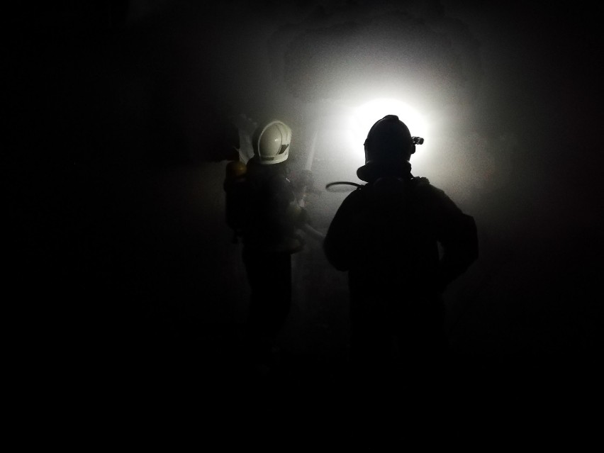 Pożar altany w Potrzanowie pod Skokami. Interweniowali strażacy