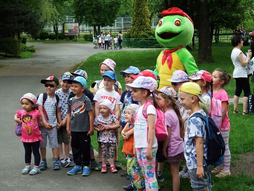 Żółw Franklin i Dzień Pszczoły w zoo ZDJĘCIA