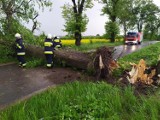 Powiat tczewski. Ulewne deszcze i burze - strażacy usuwali skutki 61 zdarzeń 