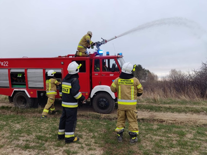 Gm. Lichnowy. Duży pożar nieużytków w okolicy Boręt Pierwszych. Ogień gasiły jednostki OSP z dwóch gmin oraz JRG Malbork