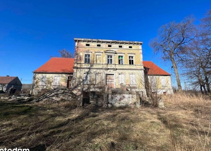 Pałac w Obiszowie jest na sprzedaż. Stoi na sporej działce