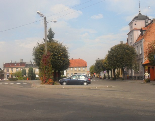 Dobrzyca