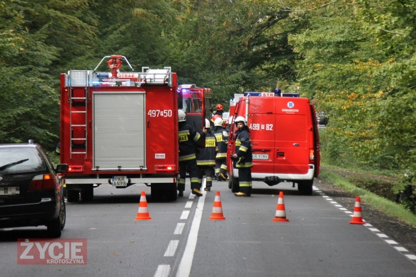 Zderzenie aut na drodze Krotoszyn-Sulmierzyce. Dwie osoby trafiły do szpitala [ZDJĘCIA]             