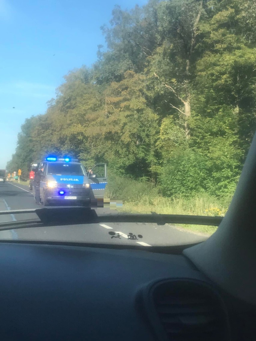 Pleszew. Kobieta znaleziona martwa przy drodze krajowej w gminie Pleszew 