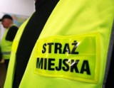 Straż Miejska w Częstochowie interweniowała w sprawie pijanej nieletniej