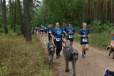 Dog Run Toruń 2023. Bieganie z psiakami to świetna zabawa. Zobaczcie zdjęcia!