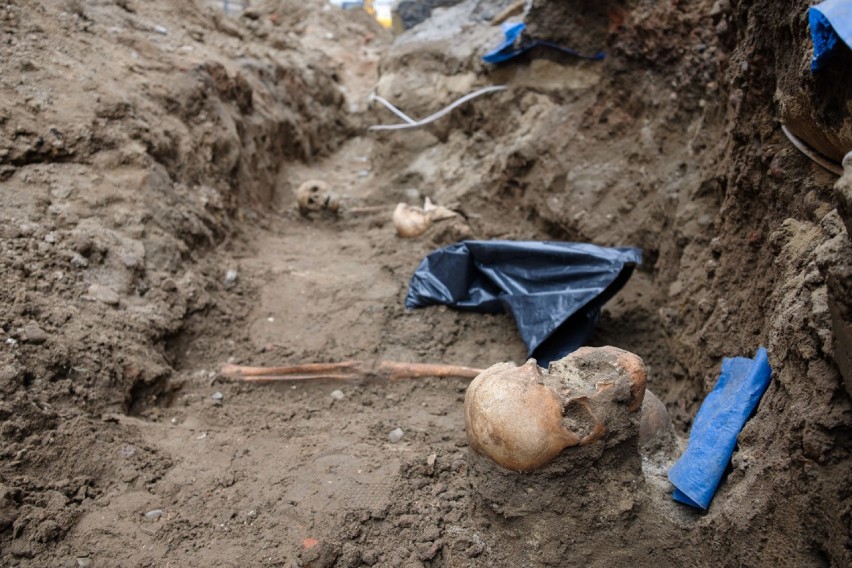 Tarnów. Na ulicy Katedralnej odkrywają ludzkie szczątki