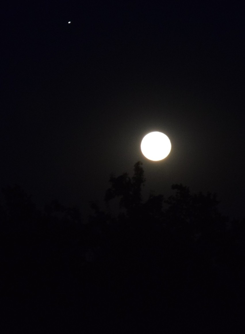 Burzowa pełnia Księżyca i obłoki srebrzyste. Takie zjawiska na lipcowym niebie Zduńskiej Woli ZDJĘCIA