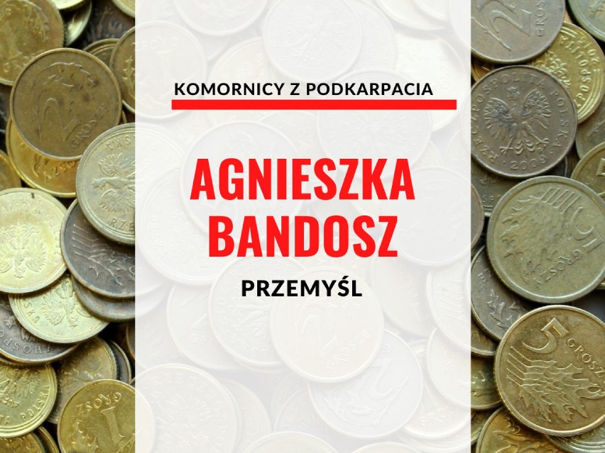 AGNIESZKA BANDOSZ, PRZEMYŚL

oszczędności: 5 000 zł,...