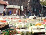 Śmieci Siemianowice: Powstaną brygady sprzątające miasto