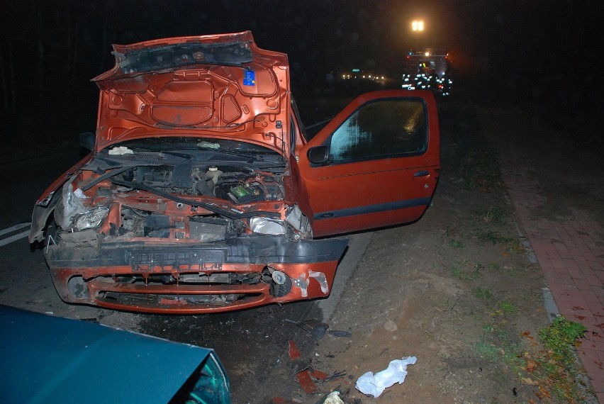 Gmina Przechlewo. Na drogę przed autem wybiegł dzik. W wyniku wypadku 2 osoby trafiły do szpitala