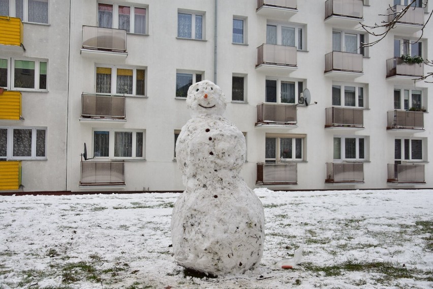 Tak wygląda Żnin otulony białym puchem.