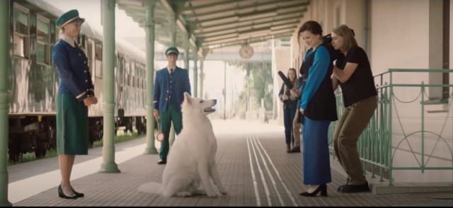 Film "O psie, który jeździł koleją" wkracza do kin. Sceny kręcili w Nowym Sączu