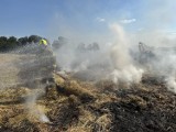 Seria pożarów w powiecie śremskim. W ciągu ostatnich kilkunastu godzin strażacy gasili kilka pożarów [zdjęcia]