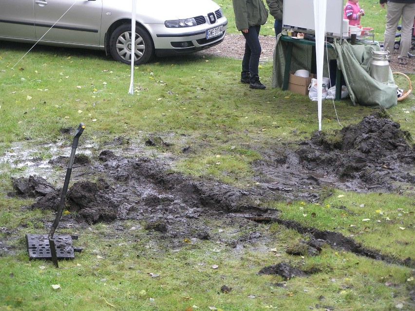 Piknik ekologiczny w Dworku Drzewiarza w Gościcinie