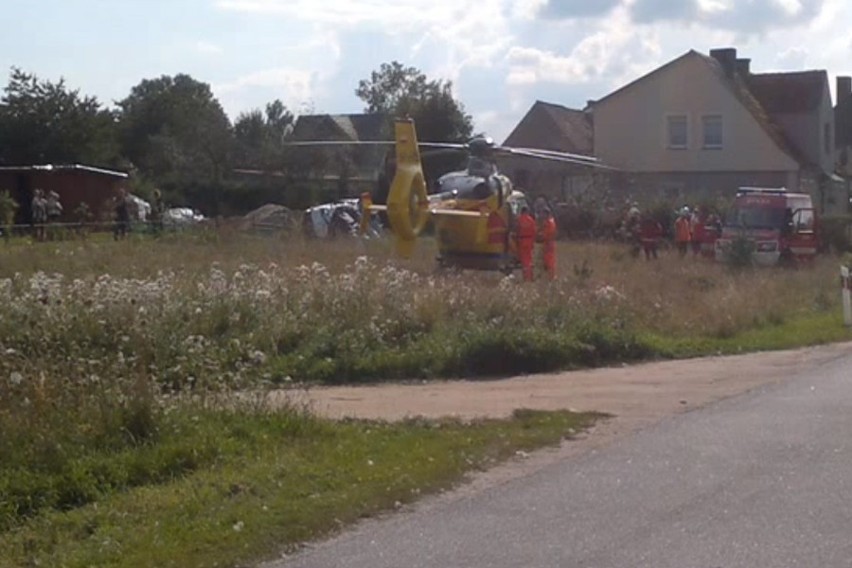 Szerszeń pokąsał dziewczynkę. Na pomoc wezwano śmigłowiec...