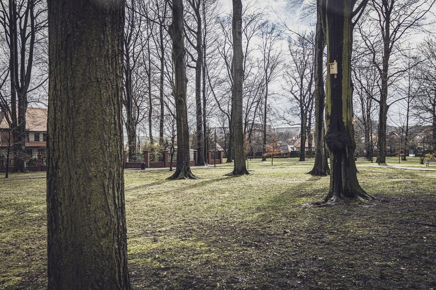 Wyremontowany park Giszowiecki w Katowicach - zobacz ZDJĘCIA. Kosztował ponad 142 tys. złotych z Budżetu Obywatelskiego