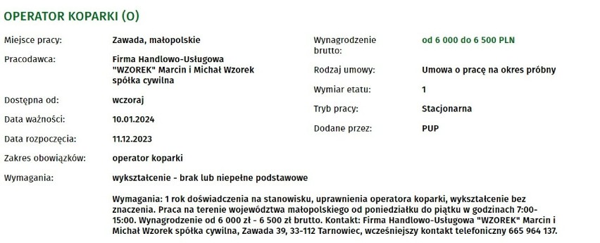 Najatrakcyjniejsze grudniowe oferty pracy z Powiatowego Urzędu Pracy w Tarnowie. Zobaczcie kogo szukają pracodawcy i jakie zarobki oferują
