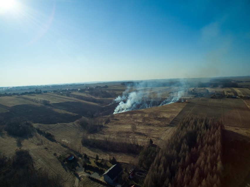 Pożar traw w Sąspowie (pow. krakowski), 14 marca