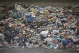 Wysypiska śmieci w gminie Zgorzelec i Sulików zostaną zlikwidowane