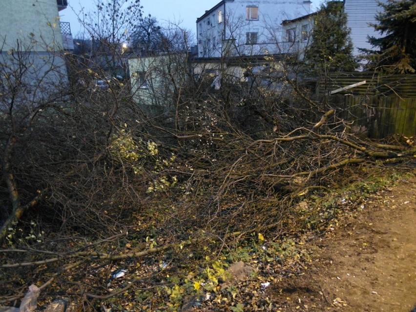 Wycięte drzewa w Wejherowie przy peronach SKM Nanice i...