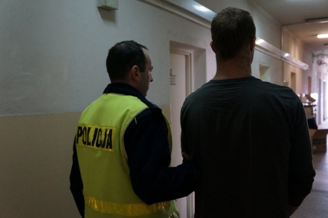 Policja Chorzów: zatrzymano 27-latka, który uprawiał marihuanę w swoim mieszkaniu