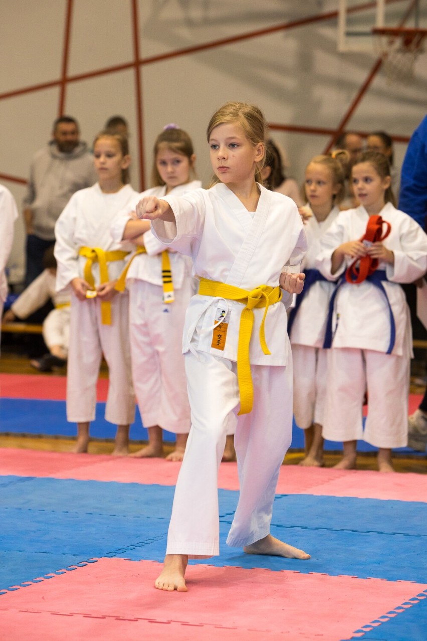 Sukcesy karateków z naszego powiatu podczas zawodów w Mosinie