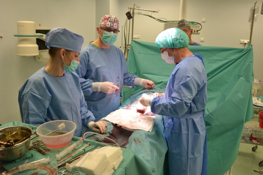 Puławscy doktorzy wszczepili pacjentowi protezę członka