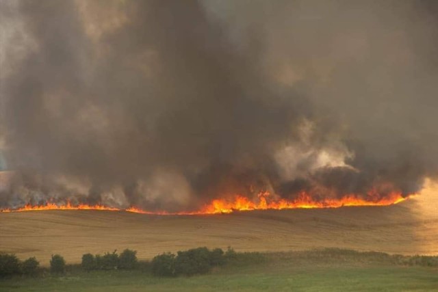 Kolejne pożary pól. Tym razem w Strzyżewie Kościelnym