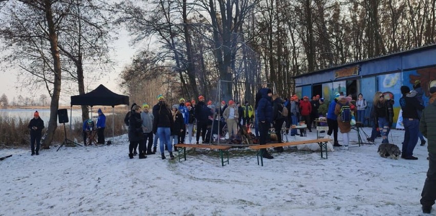 W  słoneczne południe odbyła się Inwazja morsów nad jeziorem...