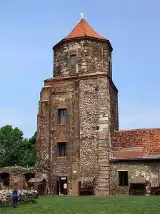 Zamek w Toszku - budowla z XV wieku