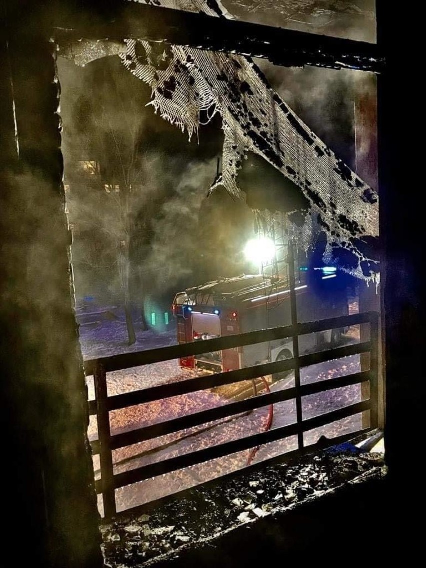 Pożar w Dąbrowie Górniczej. Spłonęło mieszkanie w bloku na ul. Hotelowej