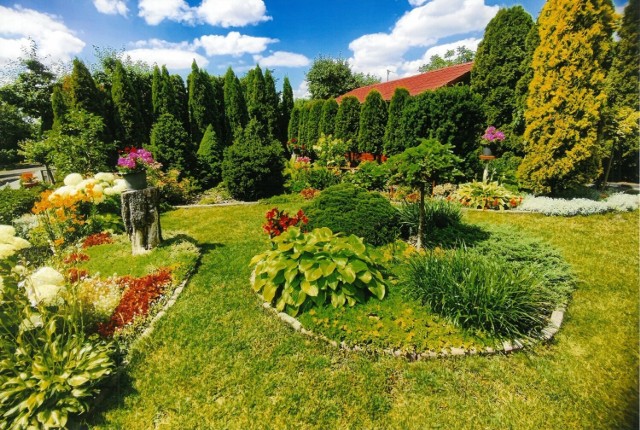 Właściciel pięknie ukwieconych inowrocławskich balkonów i ogródków uhonorowani tytułami Ogrodnik Roku 2022 i nagrodzeni przez prezydenta miasta
