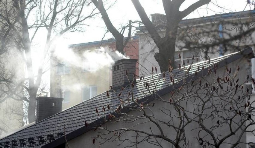 Smog i palenie śmieciami