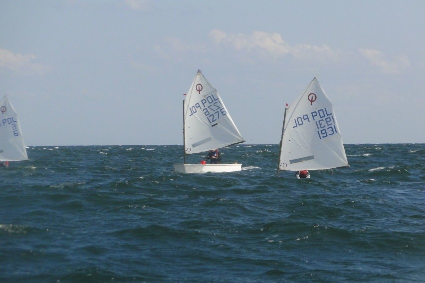 Zatoka Puck na Pucharze OPTI, Gdynia 2015