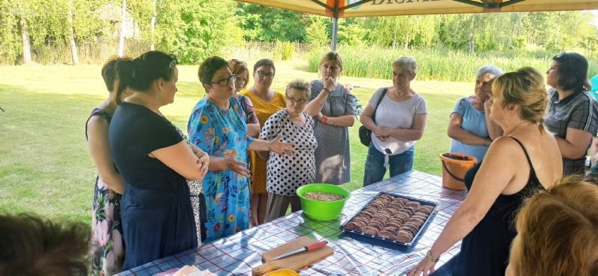 Powiat chełmski. Pysznie i kolorowo na kulinarnych warsztatach ekologicznych dla seniorów. Zobacz zdjęcia