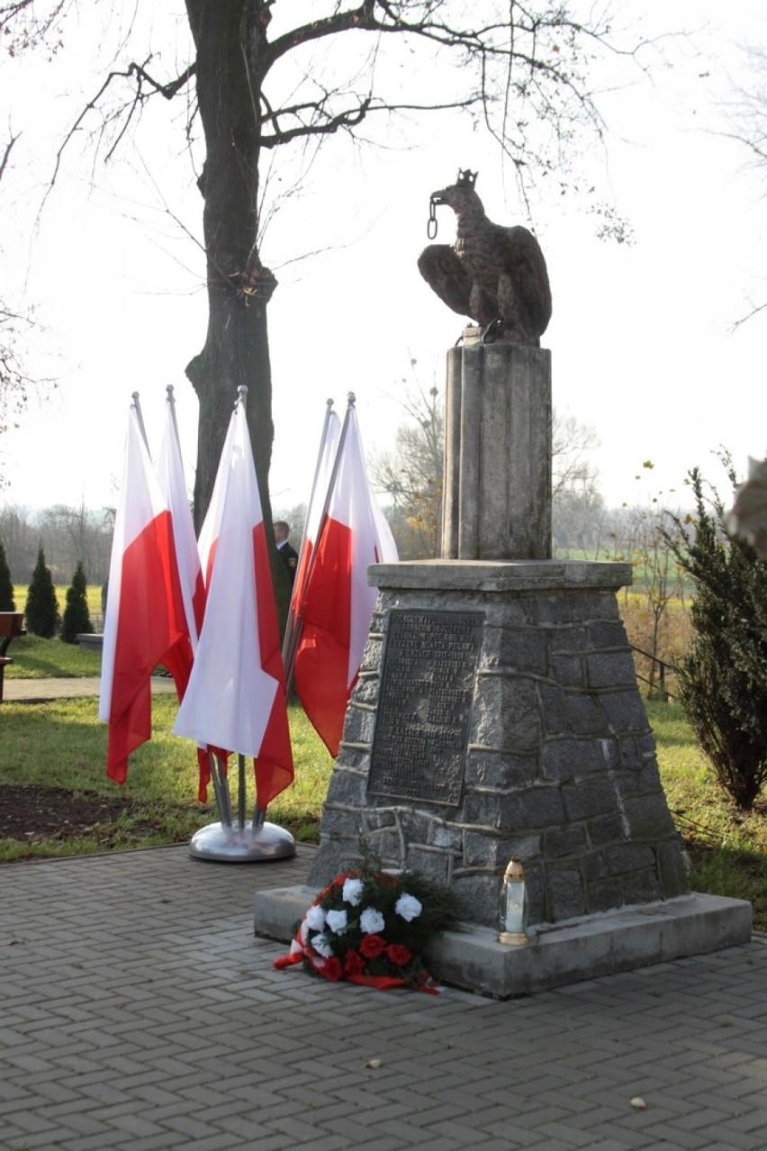 Obchody 11 listopada w Puławach