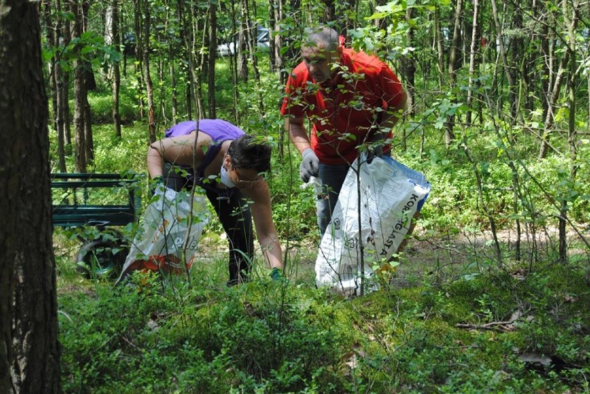 Miłośnicy czystych lasów z Bełchatowa uprzątnęli kolejny kawałek świata