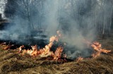 Trawy już płoną. Burmistrz Zatora apeluje o zaprzestanie tego szkodliwego, niebezpiecznego i karygodnego procederu [ZDJĘCIA]